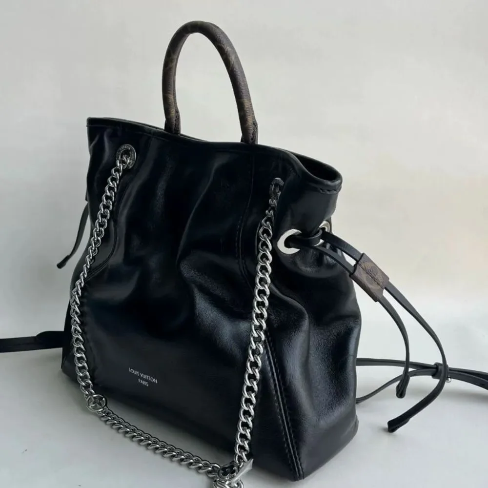 Louis Vuitton brand louis